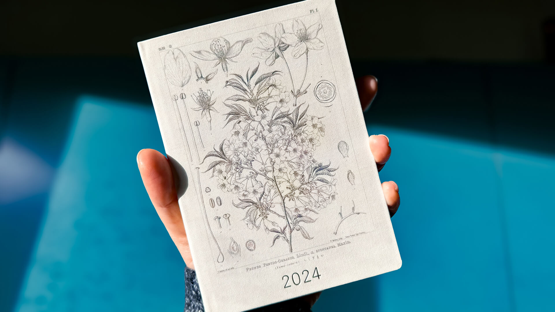 New Year, New Hobonichi My 2024 Hobonichi Hon for Work and Personal